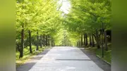 神奈川大学附属中高、2026年度大学合格実績を発表 国公立46人、早慶上理119人など