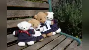 フェリス女学院、2026年度受験生向けイベント日程を公開 オープンスクールは6・7月に開催