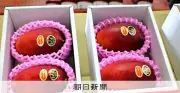 宮崎産「太陽のタマゴ」初競り、2玉55万円で落札 福岡の店舗が連続購入