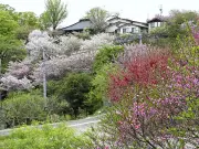 福島県の農業再生、新技術で収穫量30％増、若者移住促進へ