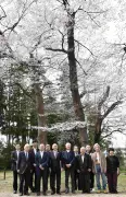 須賀川市でエドヒガンザクラ見学会、樹齢300年超の巨木11本を保存へ