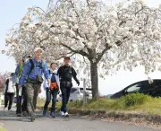 駅員発案「さわやかウオーキング」35周年、年間200回の人気企画に成長、沿線活性化にも貢献
