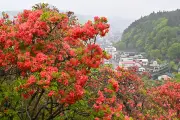 福島県沖で震度5弱、津波被害なし 東北新幹線一部区間で運転見合わせ