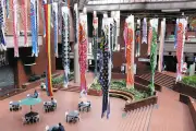 川崎市民プラザ、来春閉館でこいのぼり展示は今年見納め 50匹が彩る