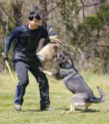 埼玉県警嘱託警察犬審査会、67頭と指導士24人が訓練成果を披露