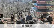 富士吉田市の桜まつり中止、観光客7%減も混雑続く オーバーツーリズム対策の効果と課題