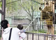 福島県、AI活用した農業支援システムを本格導入へ