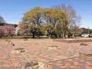 スマホで蘇る武蔵国分寺、国分寺市がARアプリ「むかしへGO！」を開発