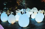 千葉・養老渓谷でチームラボの光のアート展 夜の自然とデジタルが融合