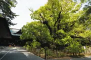 静岡・浜松八幡宮で王位戦開幕、家康ゆかりの地で藤井聡太六冠が防衛戦