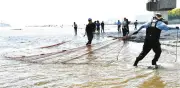 生き物の宝庫「東京湾市川干潟」、市民団体が地引き網体験会を開催 自然干潟の活用を訴える