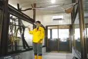 宇都宮動物園、初の室内展示場でナマケモノ飼育開始　半開放型で観察しやすく