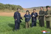 北朝鮮・朴泰成首相、大干ばつ対策を指示　穀倉地帯を視察し麦と稲への影響懸念