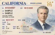カリフォルニア州知事、肖像画入り免許証でトランプ氏を皮肉る