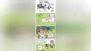 猫ピッチャー第６６４回：ミー太郎、苦手なニャッピーとの雪解けの瞬間に注目