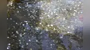 世界遺産「忍野八海」、投げ銭問題で水質悪化の危機 観光客の誤解が招く環境負担