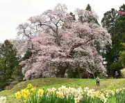 福島県の新たな観光戦略、地元の魅力を再発見し持続可能な地域活性化を目指す
