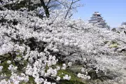 福島県の新たな観光振興策、デジタル技術を活用した地域活性化プロジェクトが始動