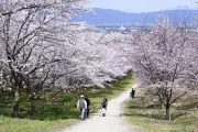 福島県の新たな観光振興策、デジタル技術を活用した体験型ツアーを開始