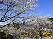 福島県の復興支援事業で不正受給が発覚、関係者を書類送検