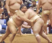 高安、春巡業で順調な調整 腰痛ケアに工夫を凝らし完走目指す