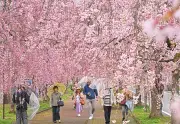福島県の新たな観光戦略、地域活性化へ向けた取り組みを強化