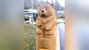 チェーンソーアートで木橋を彩る 京丹後市で全国木橋サミットをＰＲ