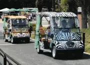 浜松市動物園の「きつい坂」に電動カート登場 入場者数回復へ期待