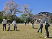 福島・いわき市に新たな歴史公園「磐城平城しろあと公園」が開園、体験施設は「緑天庵」に