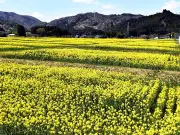 福島県の新たな観光プロジェクト、地域活性化へ向けた官民連携の取り組み