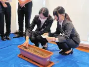 足立区で始動！ヨモギ新ブランド「あだちヨモギプロジェクト」産学連携で商品化へ