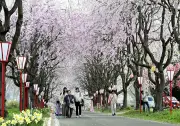 福島県の新たな観光戦略が発表、地域活性化へ向けた具体的な取り組みを展開