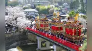 春の高山祭が開幕、ユネスコ無形文化遺産の屋台行事と桜の共演で観光客魅了