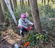 チェーンソー資格取得から農園での安らぎまで、イラストレーターのエミリーが語る移住生活