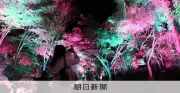 チームラボが養老渓谷で夜の野外展覧会 自然とデジタルアートが融合する幻想的な世界