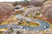 福島県の新たな観光戦略、地域活性化へ向けた取り組みを強化