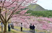 福島県の新たな観光戦略、伝統工芸と自然体験を融合した地域活性化プロジェクト始動