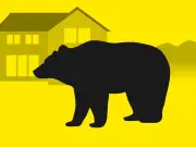 仙台中心部の住宅街にクマ１頭が滞在　箱わなで捕獲試みるも未だ確保ならず