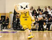 Bリーグマスコット総選挙結果発表 サンディーは20位、ルークらが決選投票へ