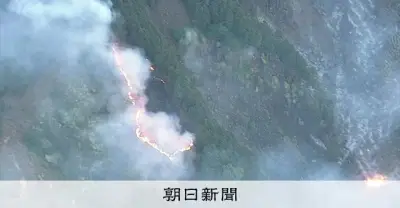 津市の山林火災、延焼続き鎮火のめど立たず　約10ヘクタール焼損