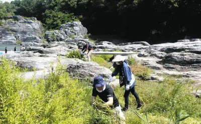 長瀞の天然記念物「岩畳」を次世代へ、地元住民ら180人が草木伐採の清掃活動