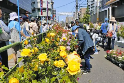 荒川区「あらかわバラの市」に1900鉢、町屋駅周辺で長蛇の列