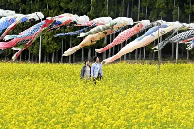 福島の桜、開花宣言 平年より3日遅く、観測史上最も遅い記録更新