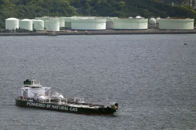 政府、5月下旬にロシアへ経済訪問団派遣へ 三井物産や商船三井が参加