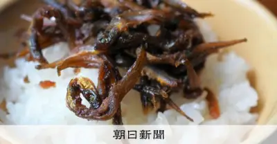 「炊かなきゃ気がおさまらない」イカナゴのくぎ煮がピンチ、人々の思い
