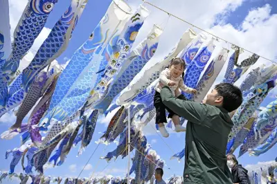 被災地で大空泳ぐ青いこいのぼり　宮城県東松島市、未来の希望託す