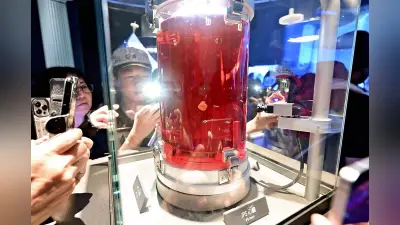「ｉＰＳ心臓」来春ＪＲ大阪駅周辺で展示へ、万博で注目集めた心臓の拍動再び