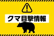 岐阜・高山市の日枝神社で体長1メートルのクマ目撃、観光客が発見