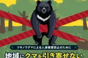 東京・八王子の住宅地近くでツキノワグマ出没、住民カメラに成獣1頭