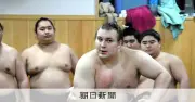 カド番大関安青錦が休場、横綱大の里も 大相撲夏場所10日初日
